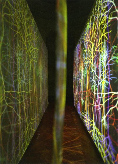 Andrew Carnie: Magic Forest, 2002.
Repro: Obrazy mysli, mysl v obrazech (2011).
